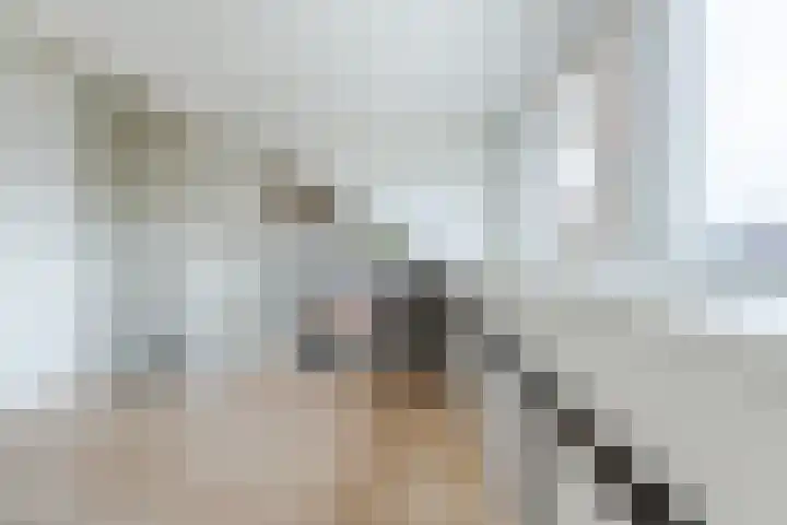 Midgard 12 Beverwijk thumbnail 36