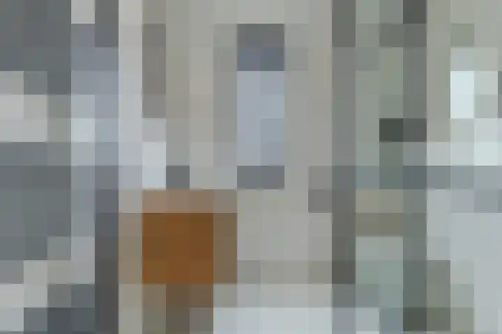 Midgard 12 Beverwijk thumbnail 4
