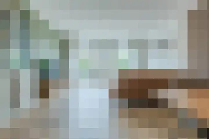 Midgard 12 Beverwijk thumbnail 6
