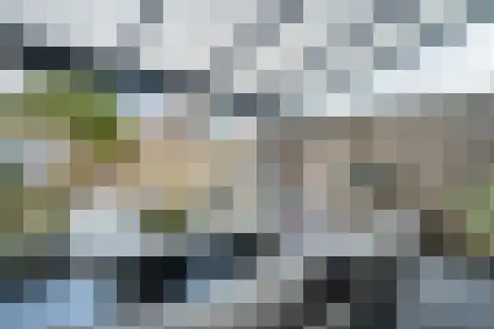 Midgard 37 Beverwijk thumbnail 15