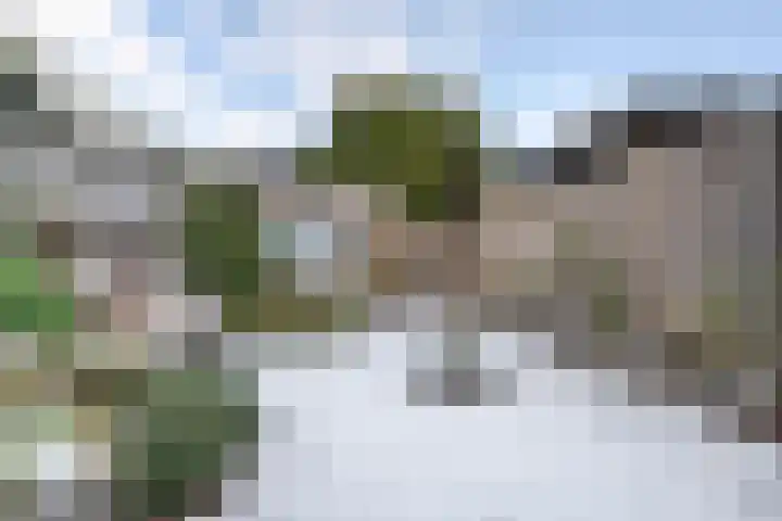 Midgard 37 Beverwijk thumbnail 21