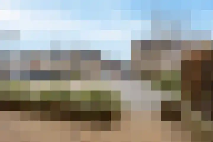 Midgard 55 Beverwijk thumbnail 6