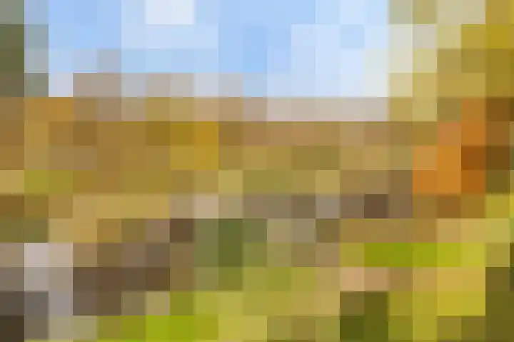 Midscheeps 112 Amsterdam thumbnail 27