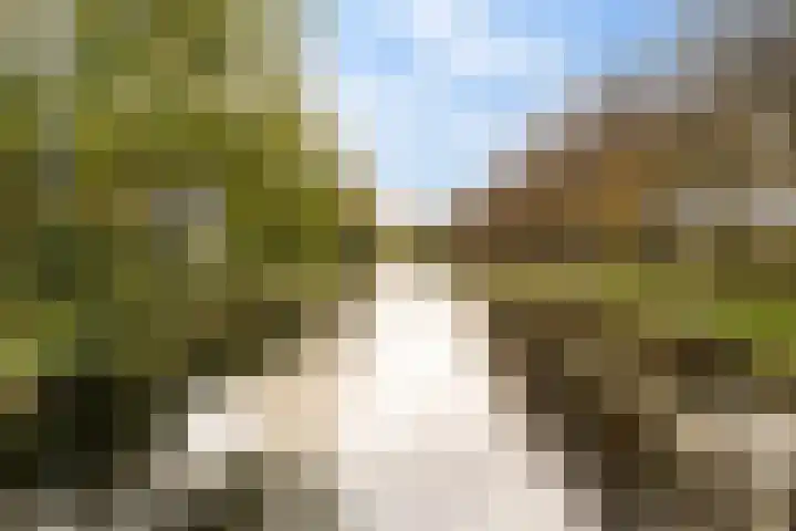 Midscheeps 112 Amsterdam thumbnail 32
