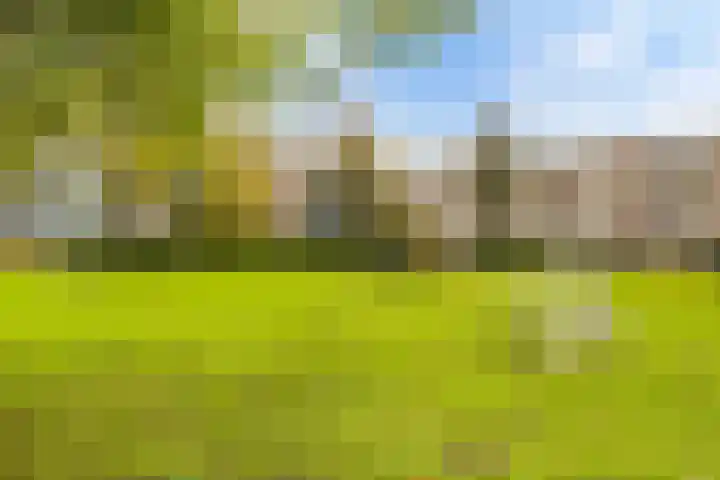 Midscheeps 112 Amsterdam thumbnail 35