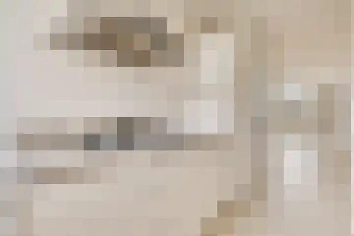 Midscheeps 112 Amsterdam thumbnail 9