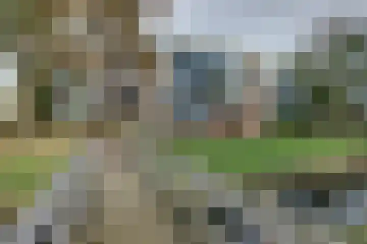 Midscheeps 17 in Amsterdam