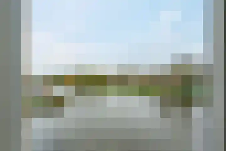 Midscheeps 31 Delfzijl thumbnail 23