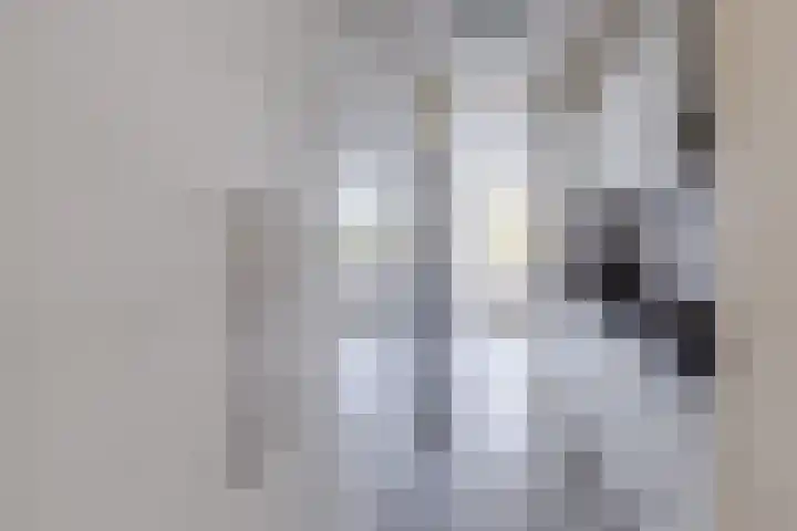 Midscheeps 37 Amsterdam thumbnail 11