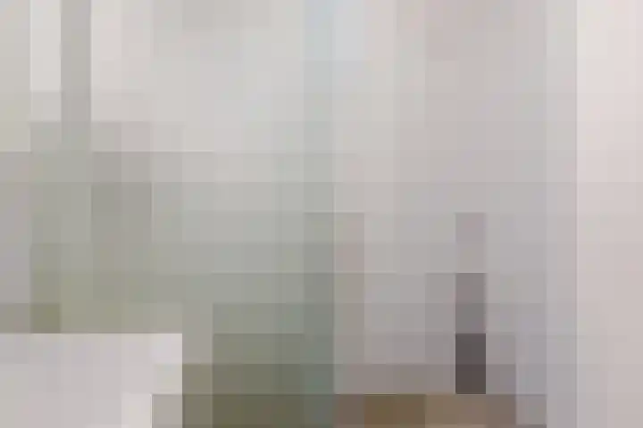 Midscheeps 37 Amsterdam thumbnail 25