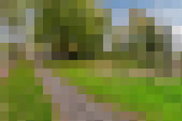 Midscheeps 37 Amsterdam thumbnail 35