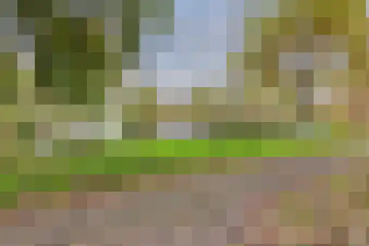 Midscheeps 37 Amsterdam thumbnail 39