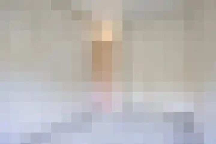 Midscheeps 88 Amsterdam thumbnail 11