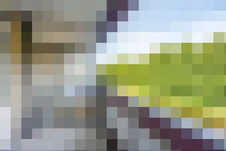 Midscheeps 88 Amsterdam thumbnail 19