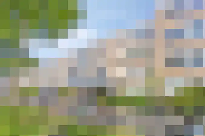 Midscheeps 88 Amsterdam thumbnail 21