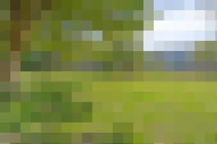 Midscheeps 88 Amsterdam thumbnail 23