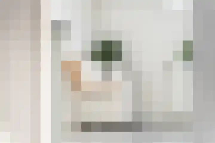 Midscheeps 97 Amsterdam