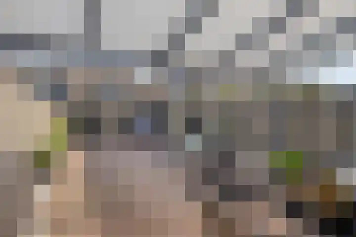 Midwoldeplein 2 Tilburg thumbnail 13
