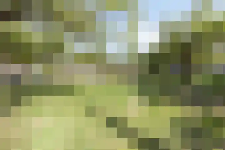 Midwoldeplein 27 Tilburg thumbnail 28