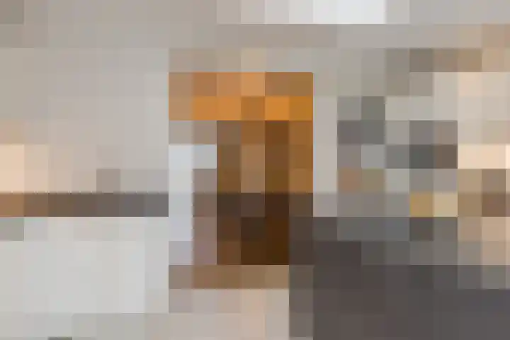 Midwoldeplein 29 Tilburg thumbnail 14