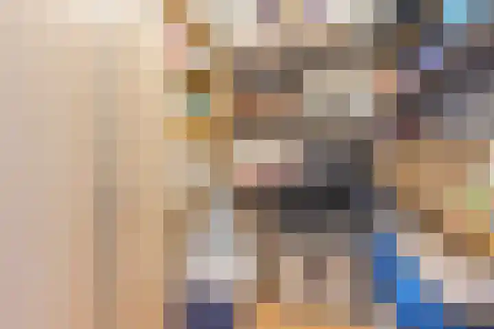 Midwoldeplein 29 Tilburg thumbnail 17