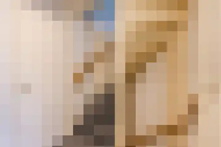 Midwoldeplein 29 Tilburg thumbnail 18