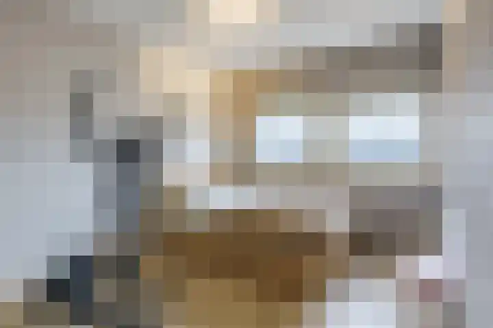 Midwoldeplein 29 Tilburg thumbnail 32