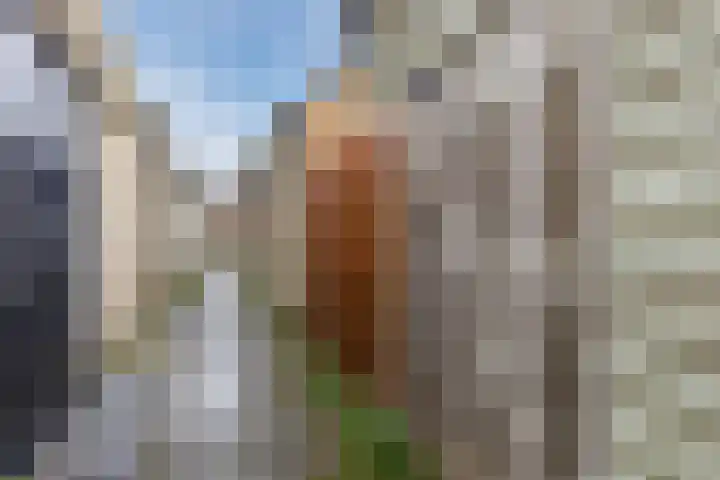 Midwoldeplein 29 Tilburg thumbnail 38