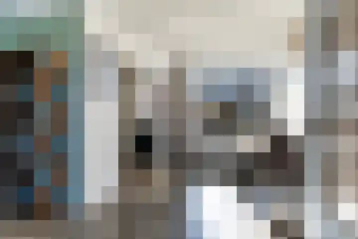 Mieddyk 78 Menaam thumbnail 14