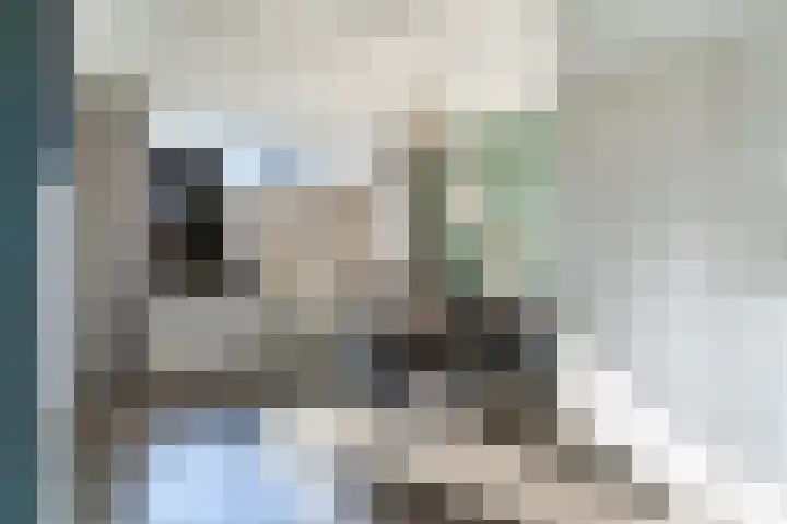 Mieddyk 78 Menaam thumbnail 19