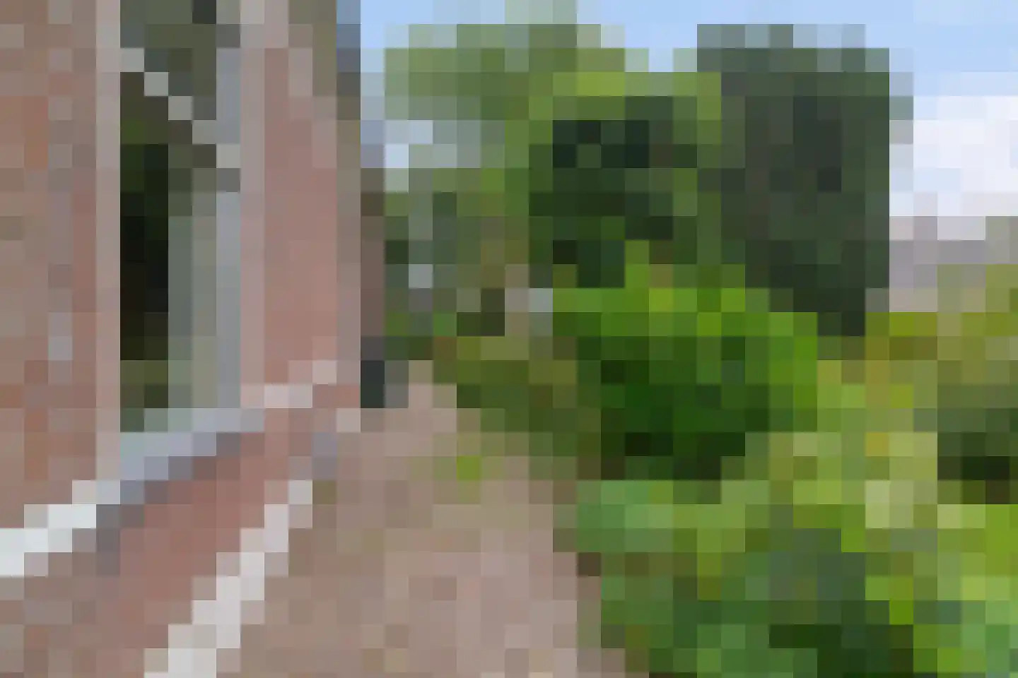 Miedweg 1 Marrum thumbnail 13