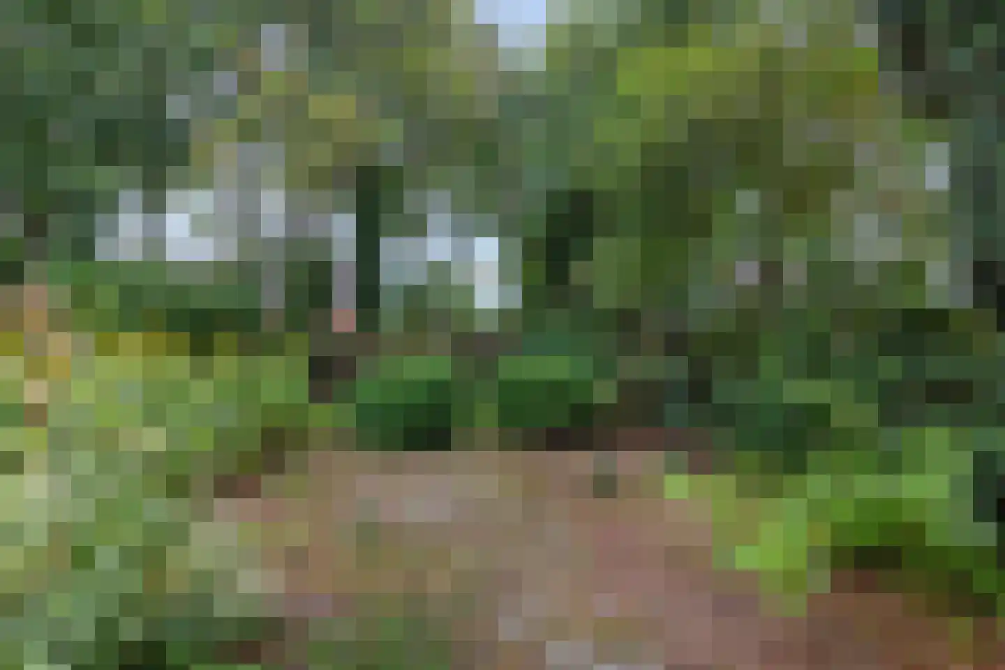 Miedweg 1 Marrum thumbnail 15