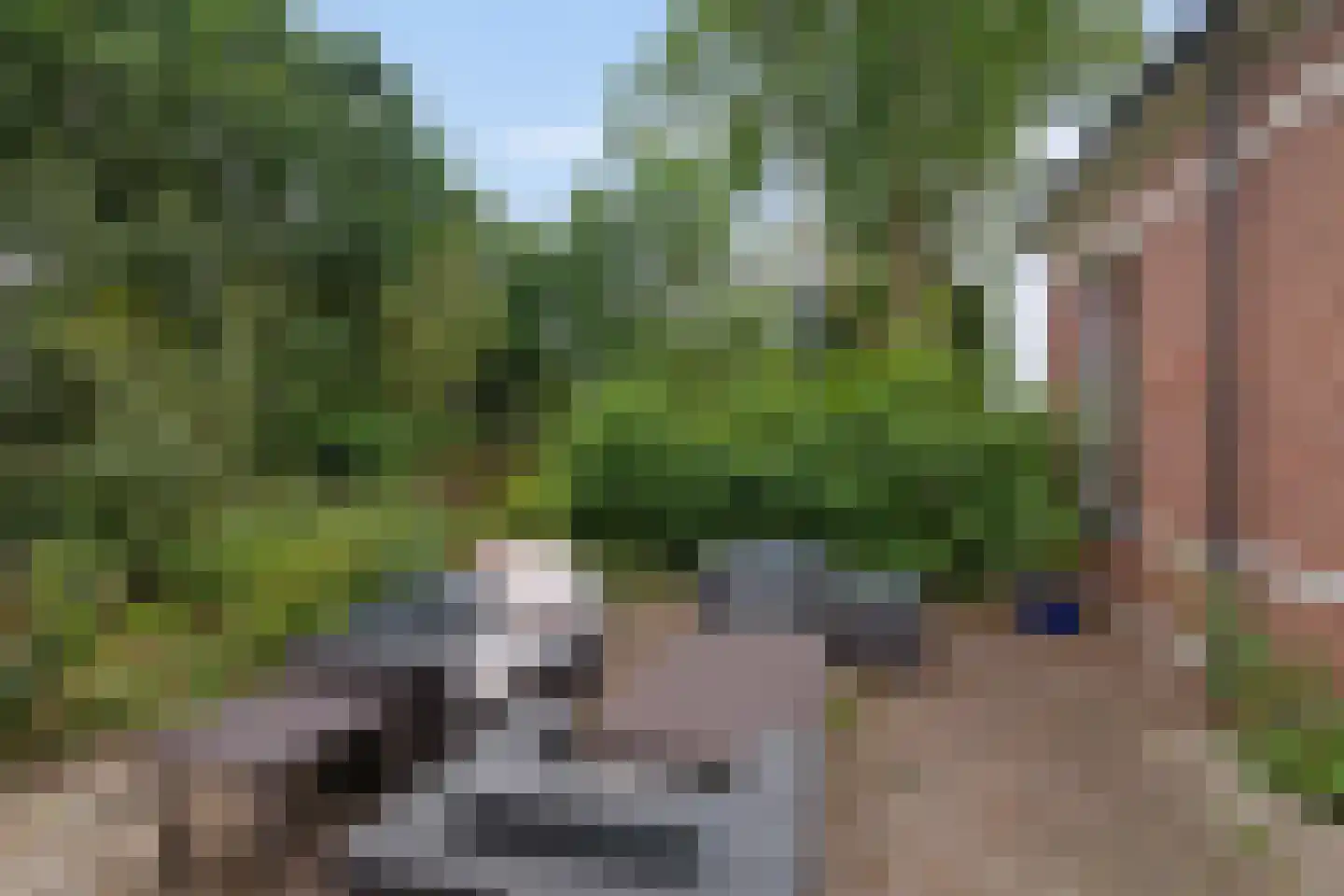 Miedweg 1 Marrum thumbnail 54