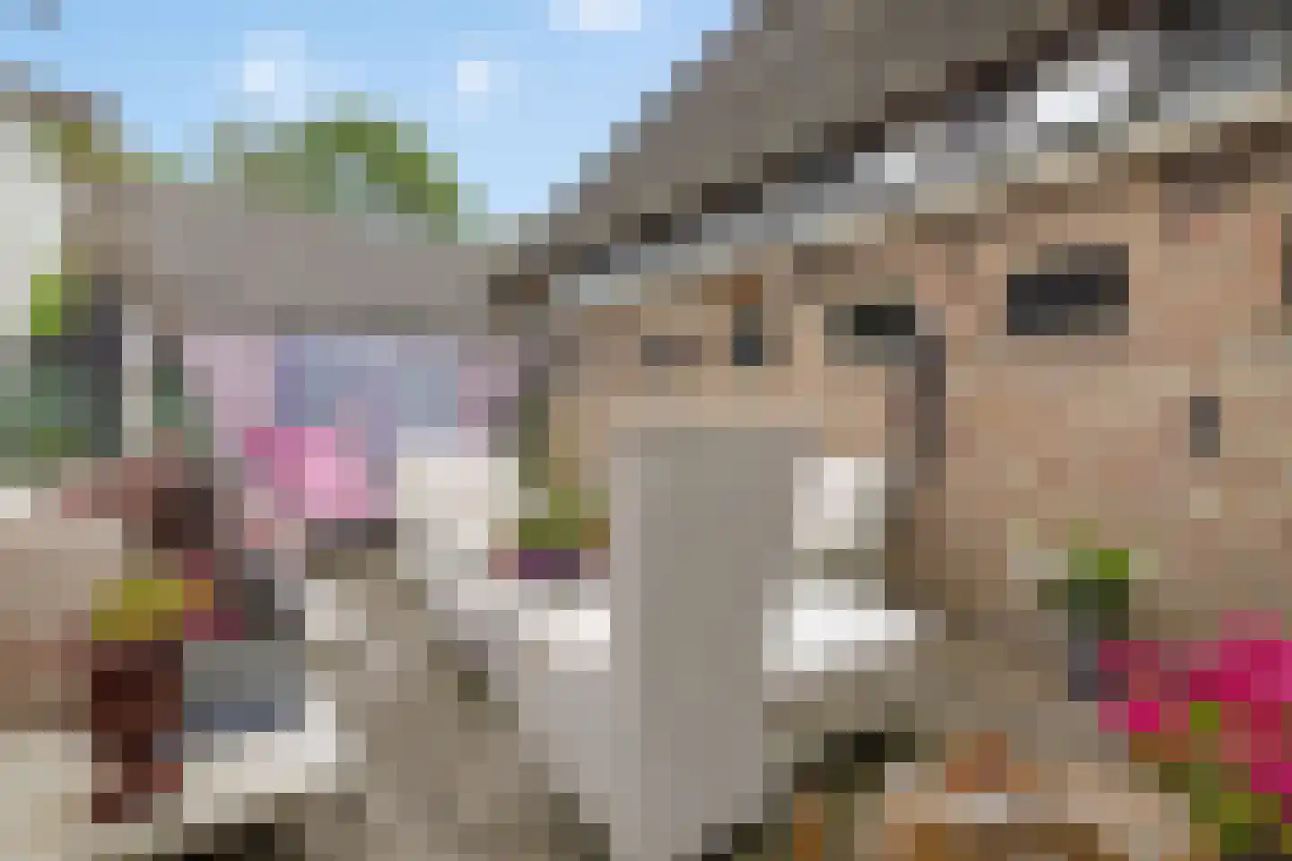 Miedweg 1 Marrum thumbnail 58