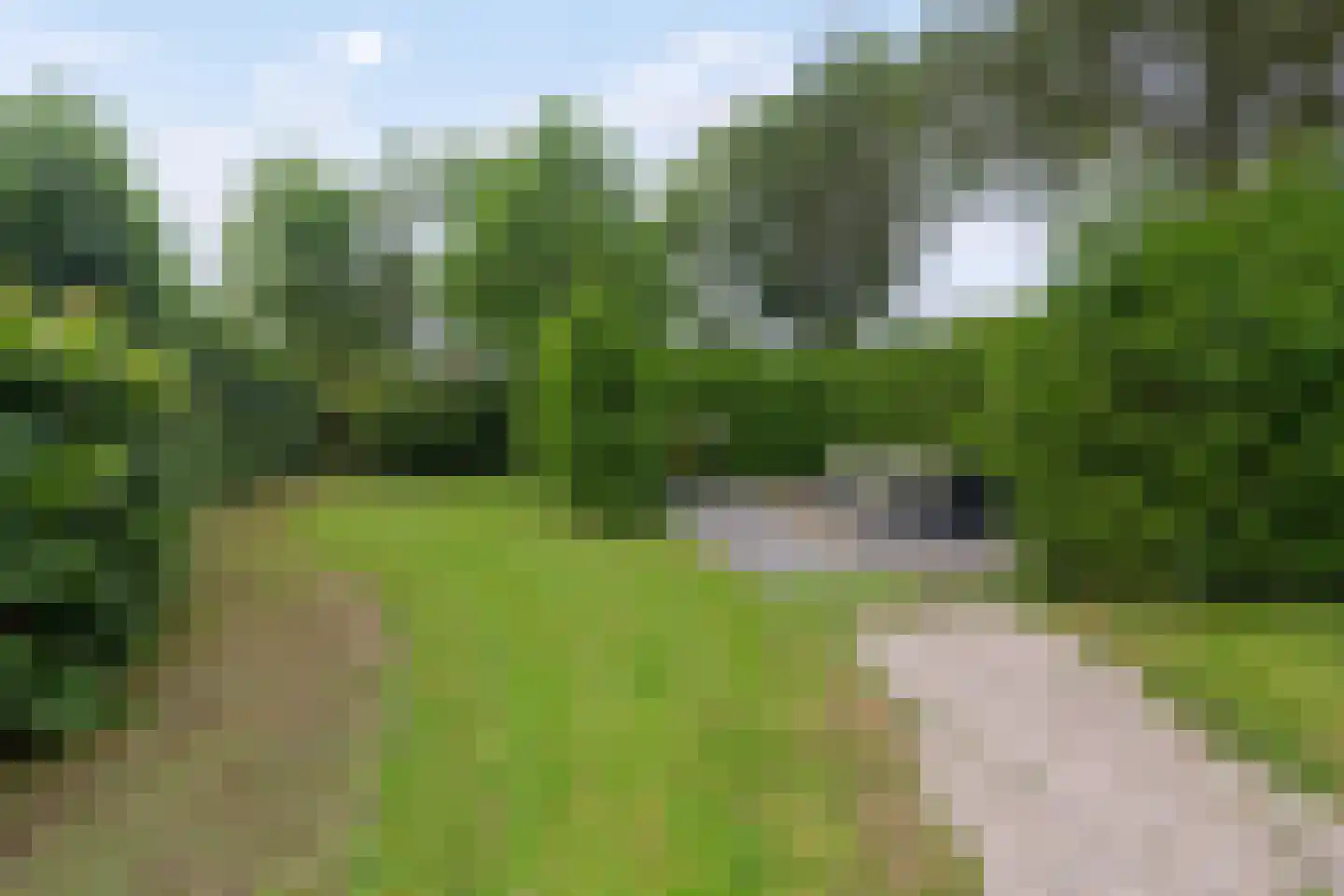 Miedweg 1 Marrum thumbnail 60