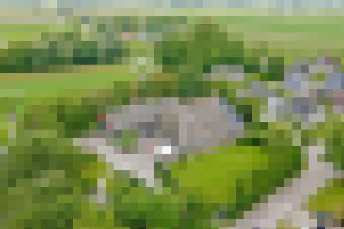 Miedweg 1 Marrum thumbnail 7