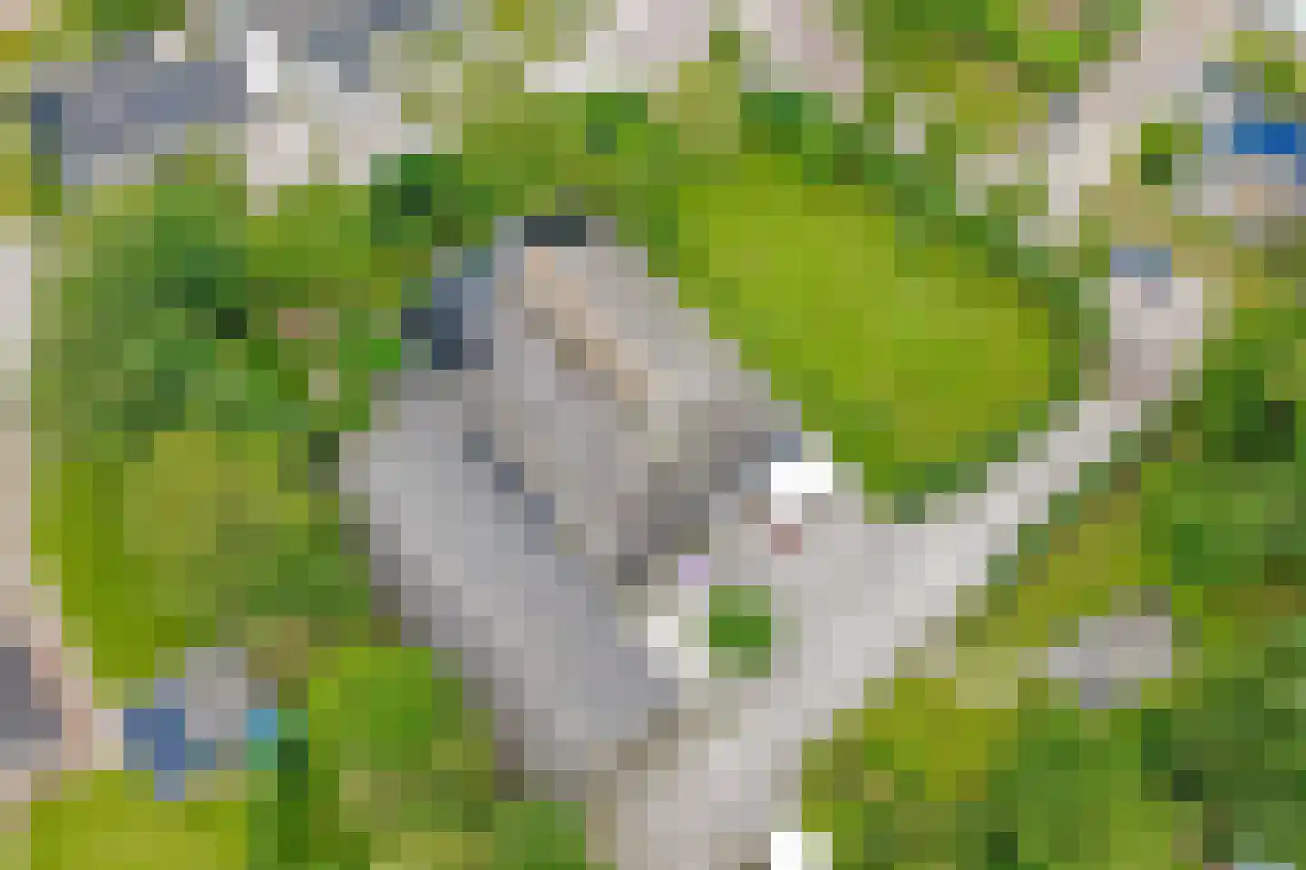 Miedweg 1 Marrum thumbnail 9