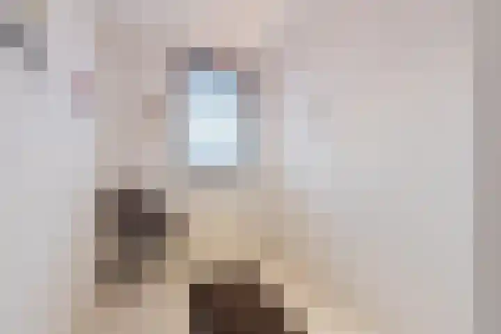 Mienskar 16 Stiens thumbnail 20