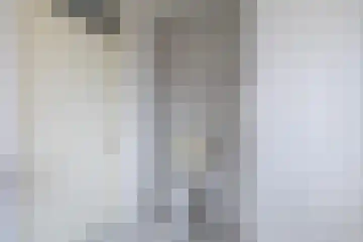 Mienskar 16 Stiens thumbnail 34