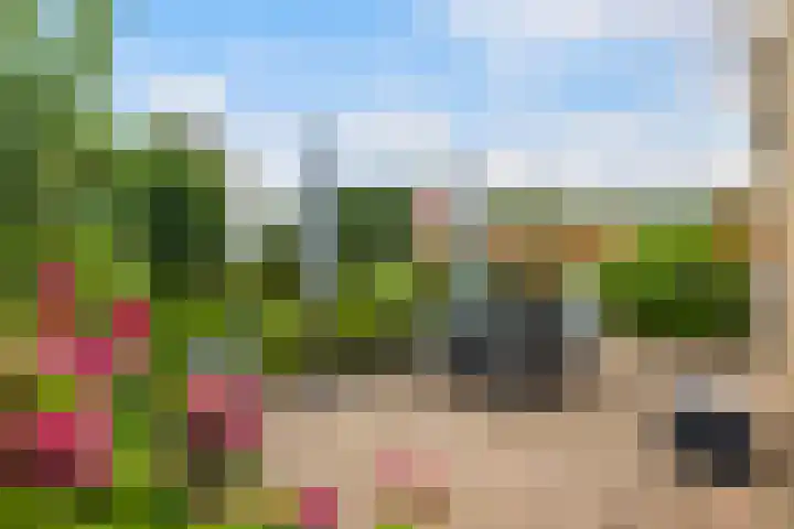 Mienskar 16 Stiens thumbnail 35