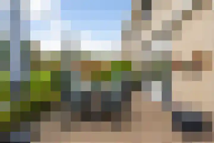Mienskar 16 Stiens thumbnail 36