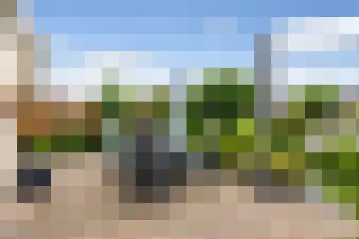 Mienskar 16 Stiens thumbnail 37