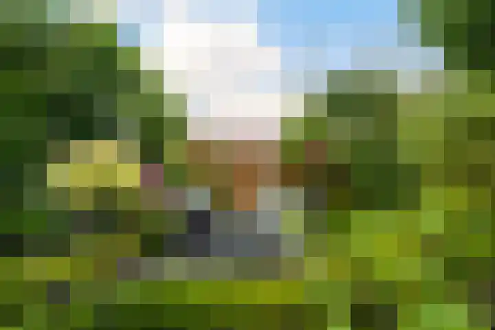 Mienskar 16 Stiens thumbnail 39