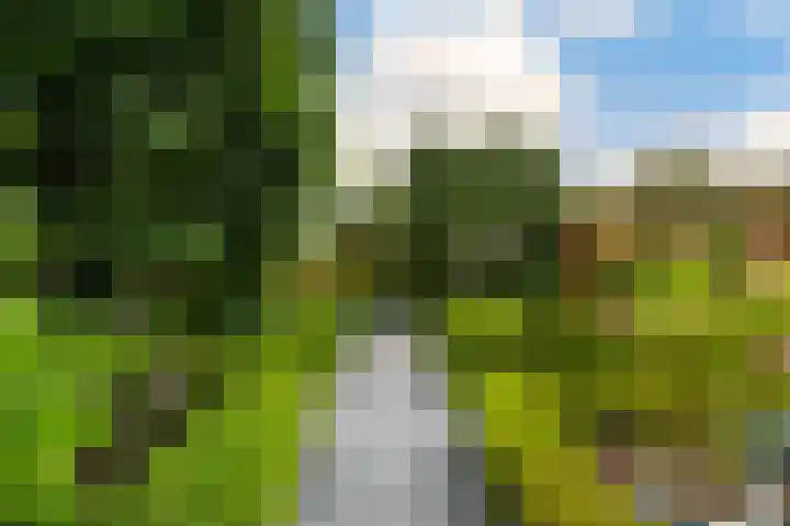 Mienskar 16 Stiens thumbnail 40