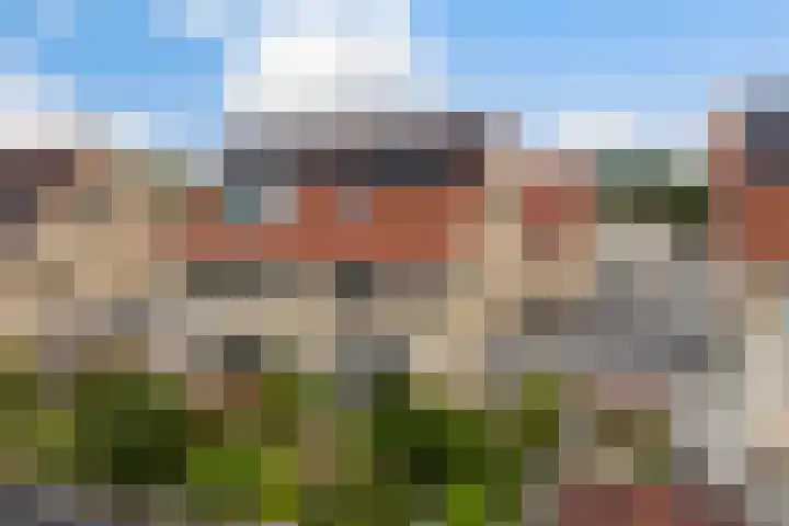 Mienskar 16 Stiens thumbnail 43