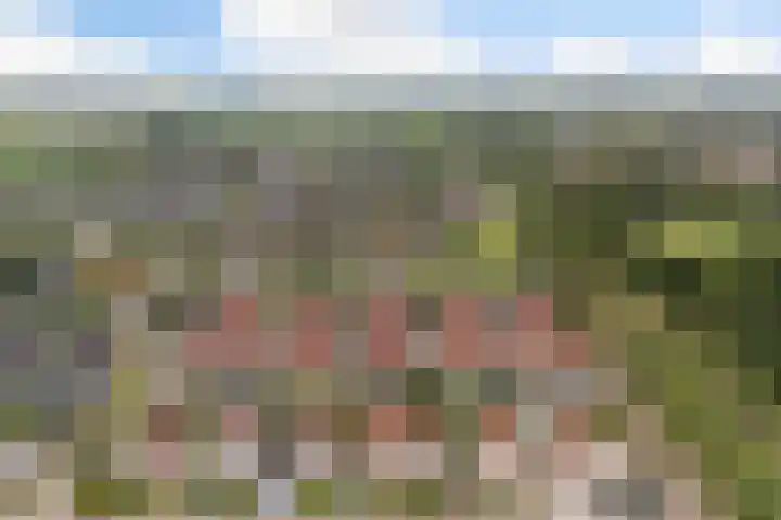 Mienskar 16 Stiens thumbnail 44