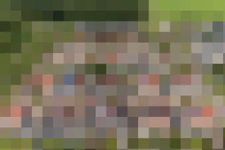 Mienskar 16 Stiens thumbnail 45