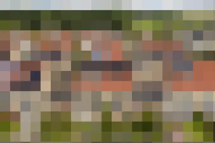 Mienskar 16 Stiens thumbnail 46
