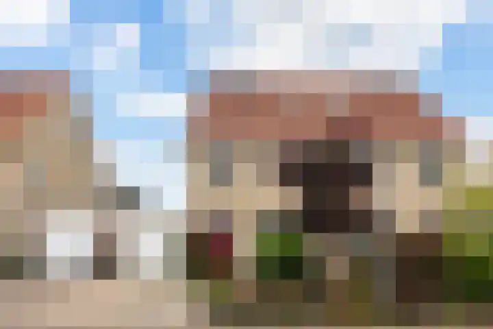 Mienskar 16 Stiens thumbnail 5