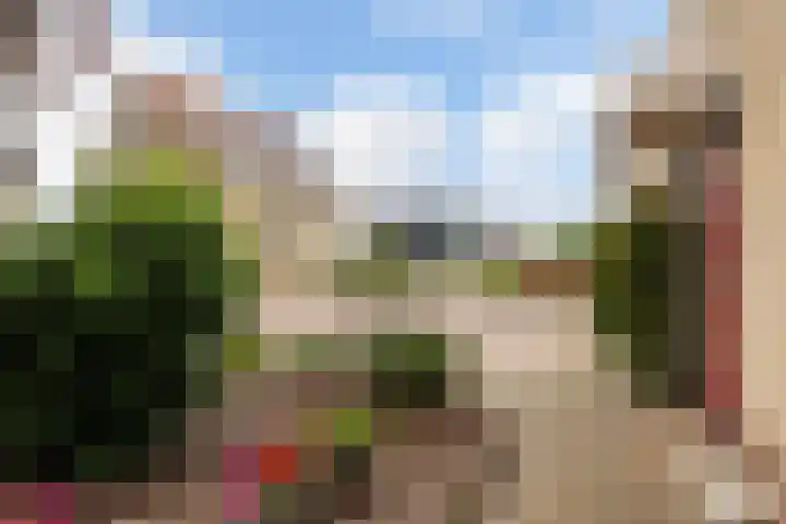 Mienskar 16 Stiens thumbnail 8